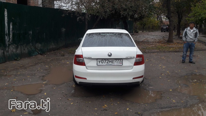 Skoda Octavia, 2014 г. (3) Skoda Octavia, 2014 г. (3)